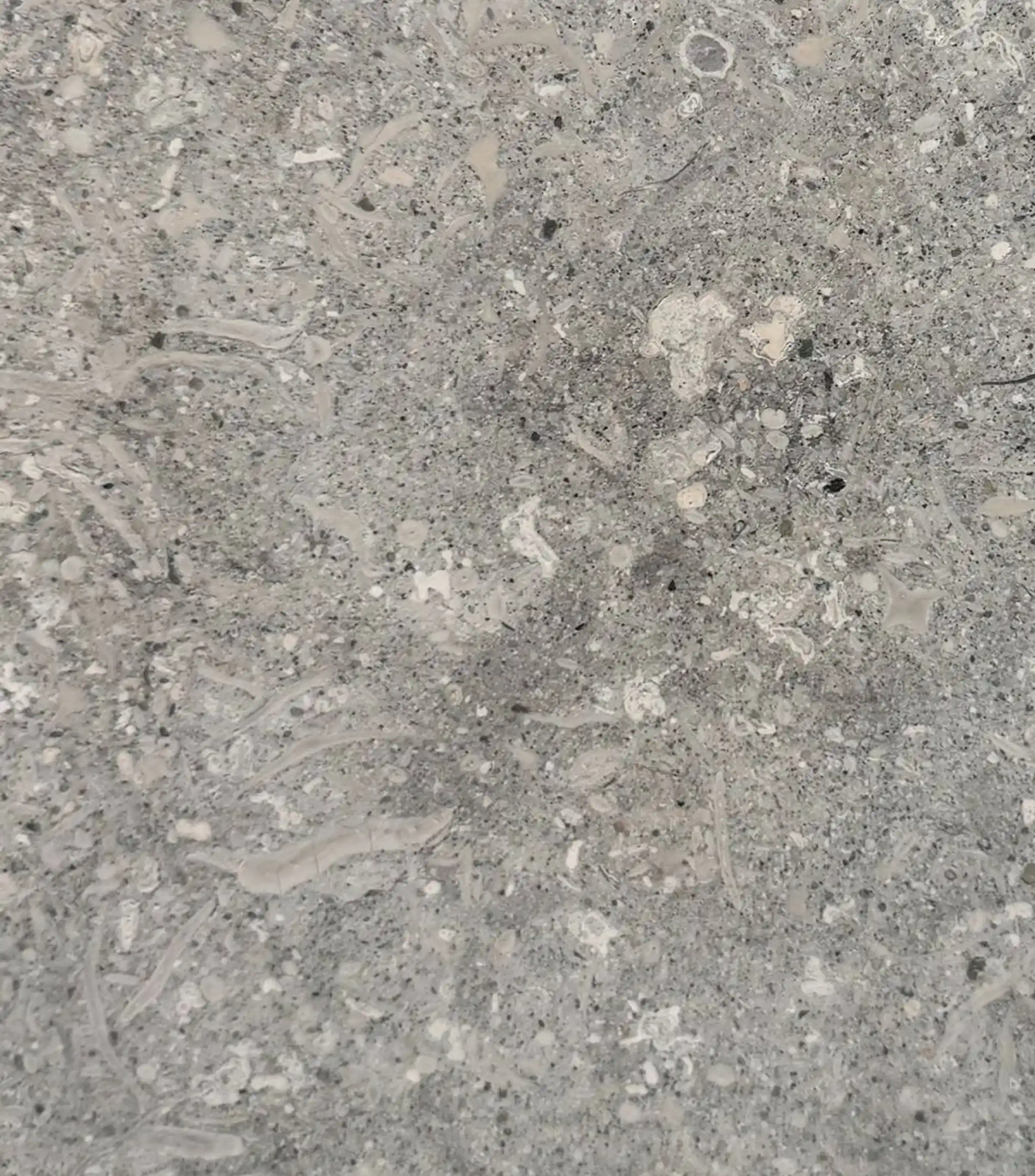 Campione di Grigio Alpi - calcare grigio con inclusioni fossili e macchie chiare, pietra naturale italiana utilizzata nell'installazione Forme di Dialogo, lavorazione marmi Trapattoni Marmi Bergamo