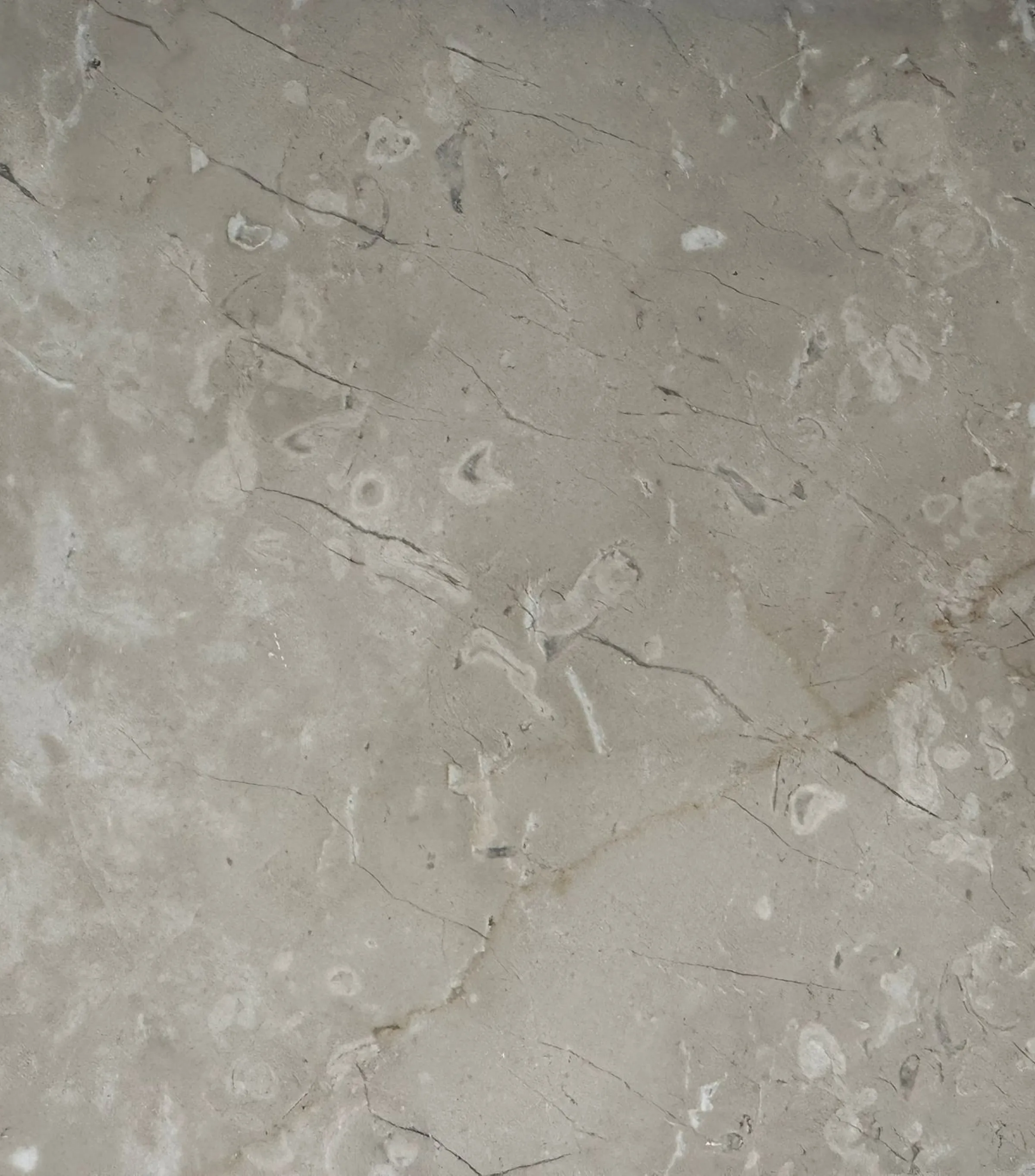 Campione di Botticino - calcare italiano beige chiaro con fossili e venature sottili, materiale utilizzato nell'installazione Forme di Dialogo, lavorazione artigianale pietre naturali Trapattoni Marmi Bergamo